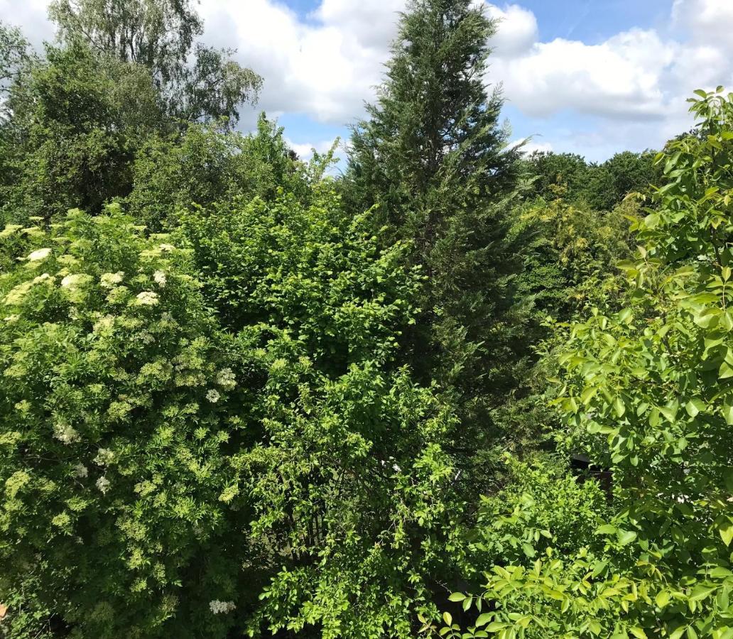 Vakantie Appartement In Luxemburg Berbourg ภายนอก รูปภาพ